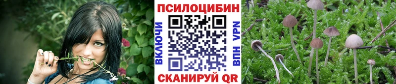 Псилоцибиновые грибы прущие грибы  что такое   Вышний Волочёк 