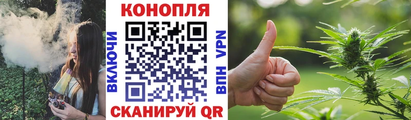 где можно купить наркотик  Вышний Волочёк  Марихуана конопля 